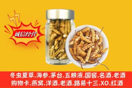 甘孜县回收散虫草