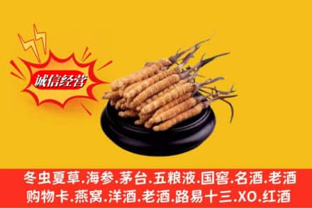甘孜县求购回收虫草多少钱每克